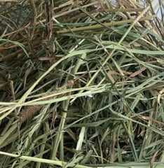 Fluffybandens Urtemark - Slet 1 (Høst 2025)